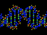 DNA: Double Helix