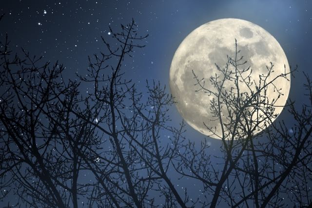 A full moon: copyright www.istock.com 510328046