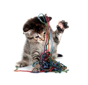 A kitten playing with wool