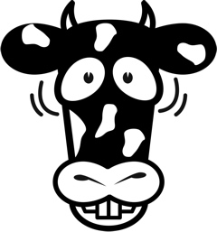 Upset cow
