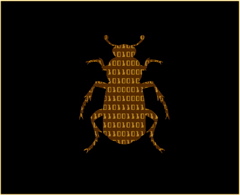 A gold binary bug