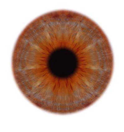 An eye