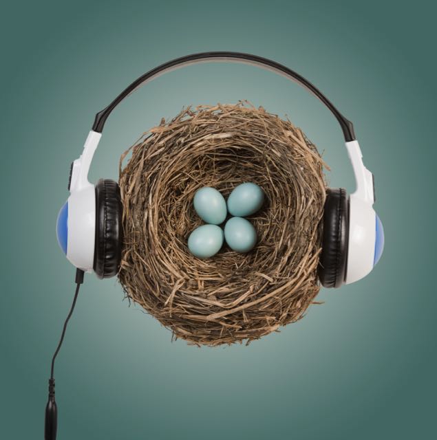 A nest with earphones
