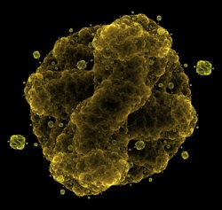 a microscopic image of a spore