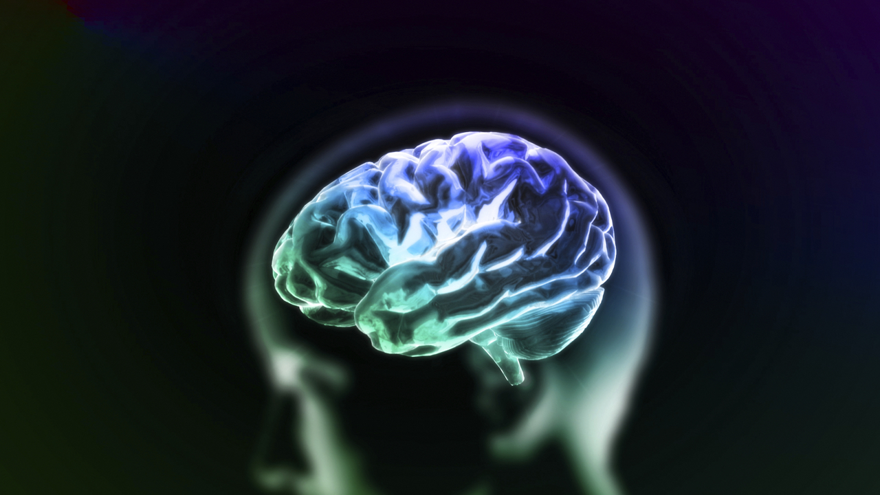 A blue brain in a person's head  : copyright www.istockphoto.com 67990773