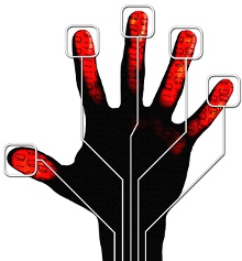 image of a biometric hand