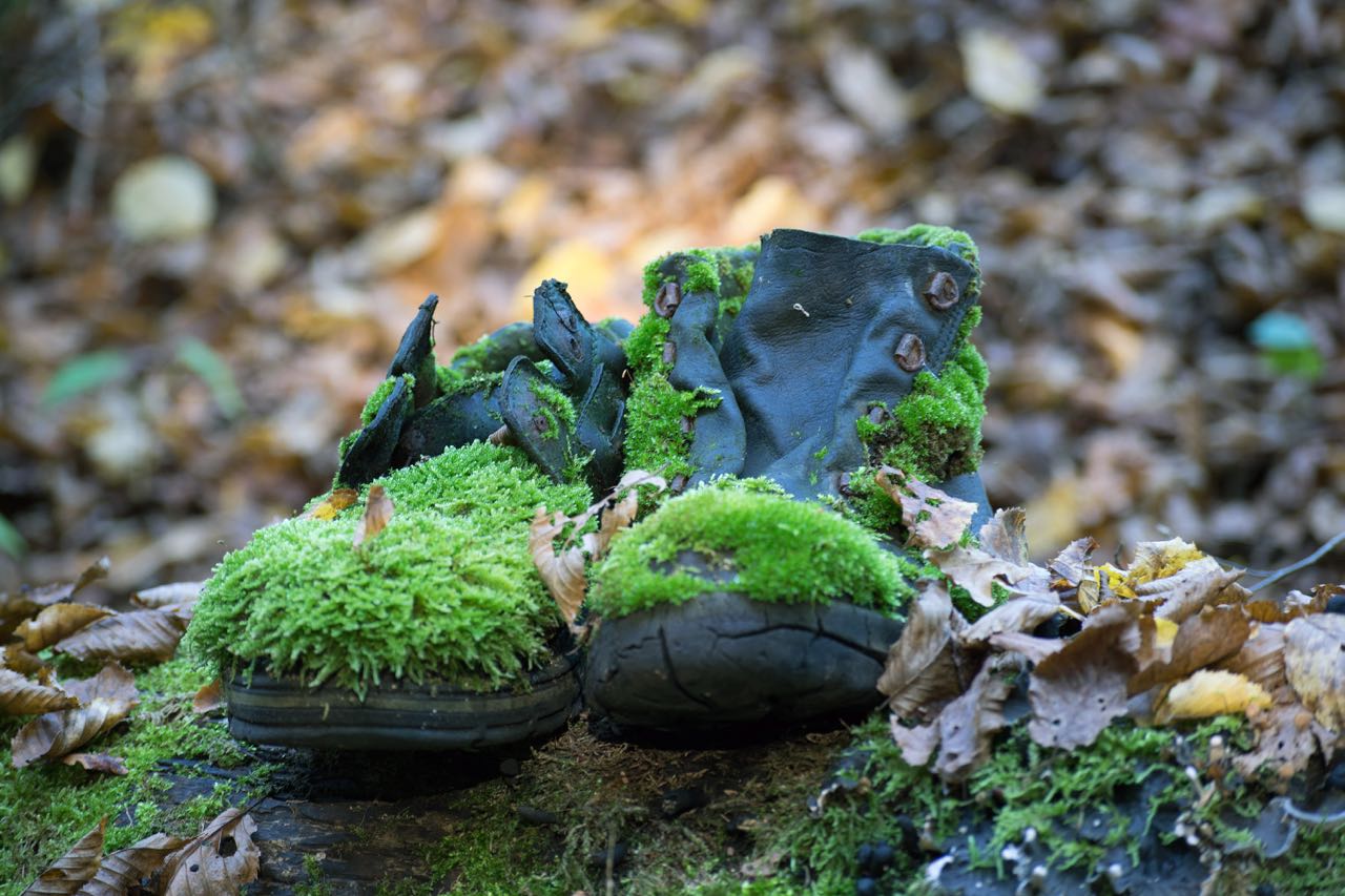 Old moss covered boots