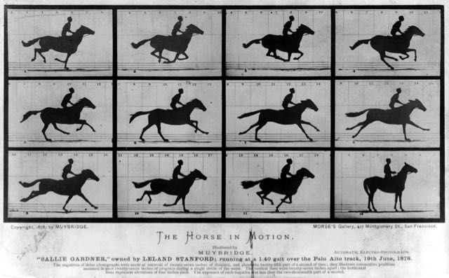Eadweard Muybridge's images of a horse galloping