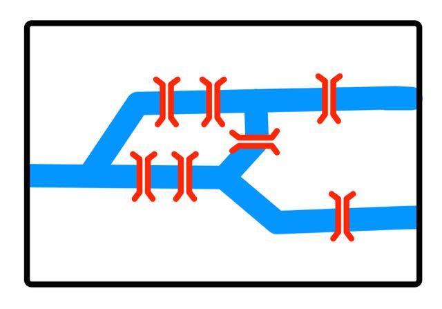 The Bridges of Konigsberg