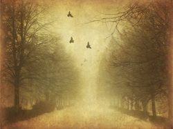view down a tree-lined street, brown and faded as in an old photo