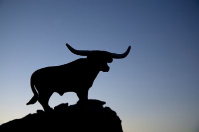 Bull Silhouette: istockphoto 000009218746