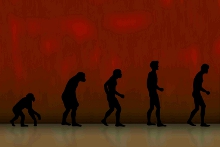 Evolution Sequence