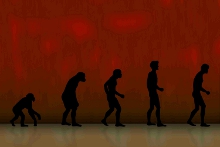 Human Evolution Sequence