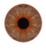 An eye ready to cut