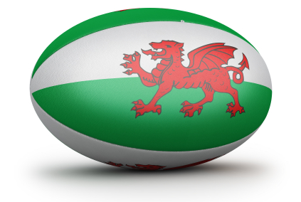 Welsh rugby ball