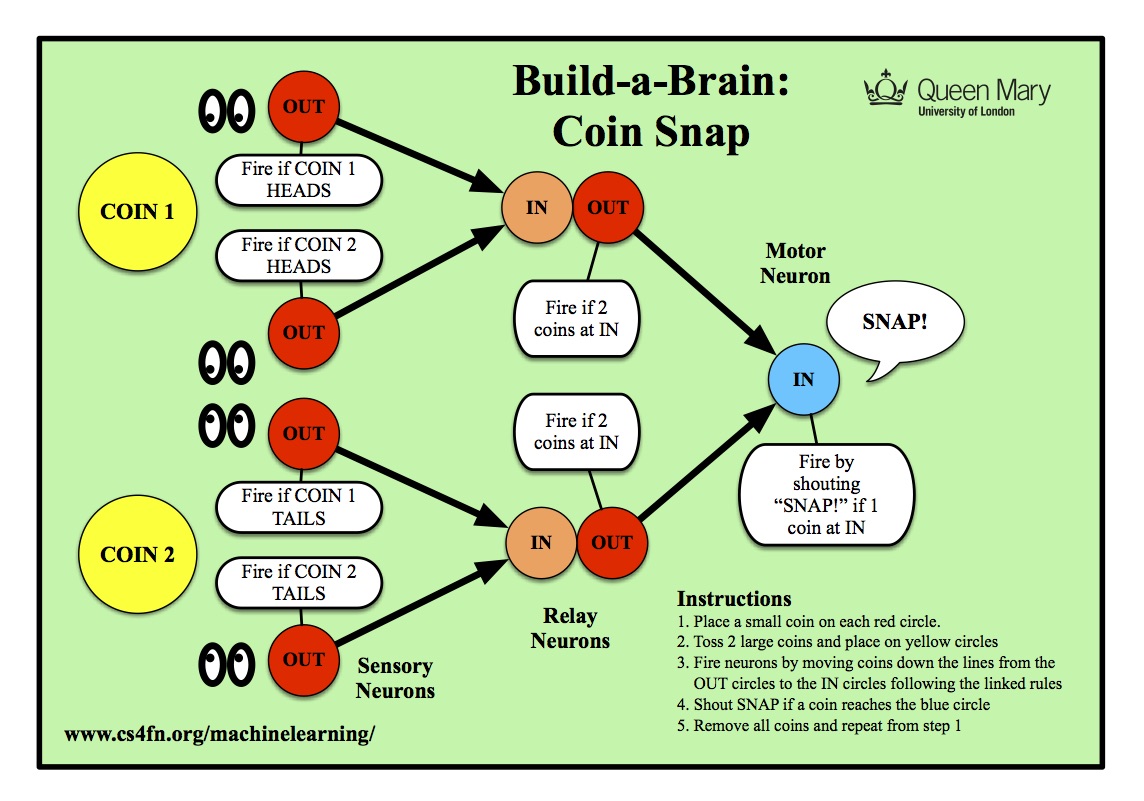 Board of Build a brain