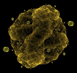 a microscopic image of a spore
