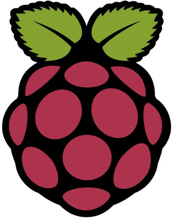 The Raspberry Pi logo