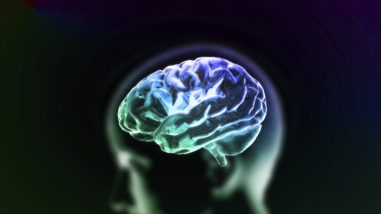A blue brain in a person's head : copyright www.istockphoto.com 67990773