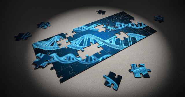 DNA Jigsaw. From PIXABAY.com