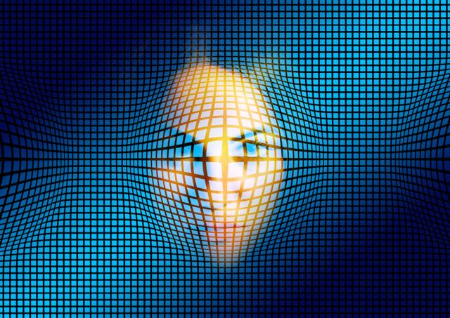 A gridded face. From PIXABAY.com