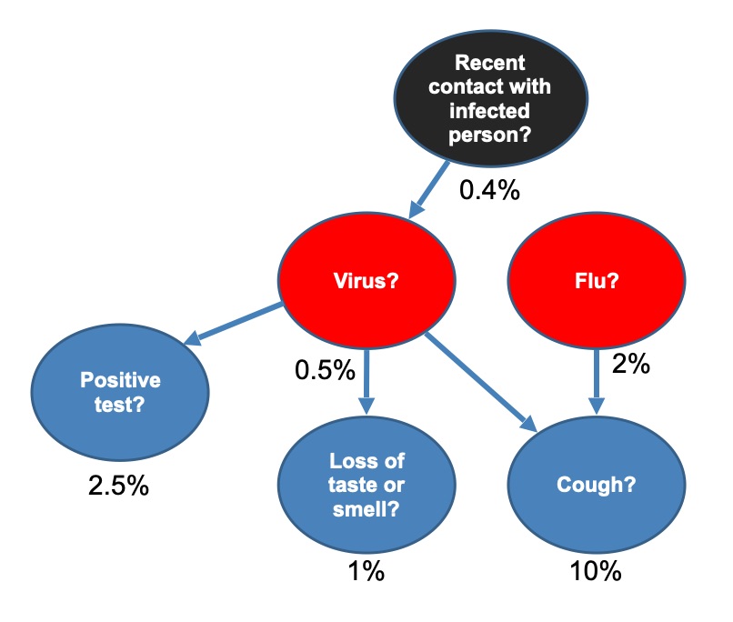 A Bayesian net for covid