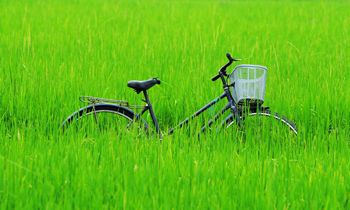 Bike in long grass : Copyright www.iStockphoto.com 000029259060