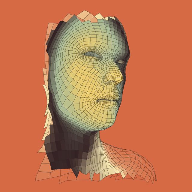 A mesh model of a face