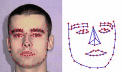 Software from Lourdes team creates
a model of the human face as it deforms