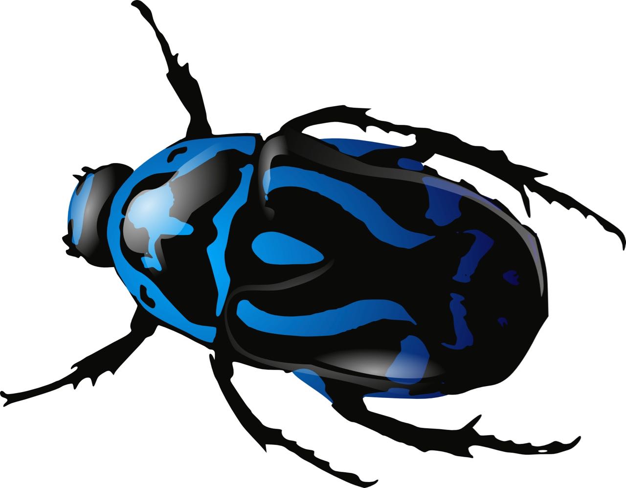 Blue beetle